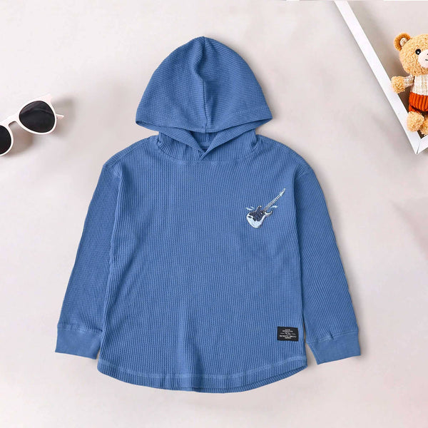 elo TH Boy's Guitar Printed Pullover Hoodie Powder Blue