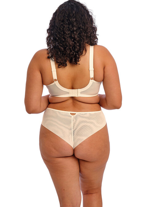 Elomi Brazilian Vanilla