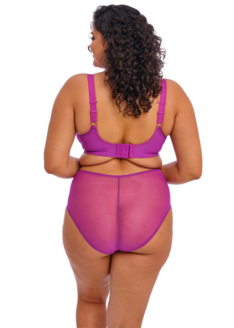 Elomi Full Brief Hollyhock