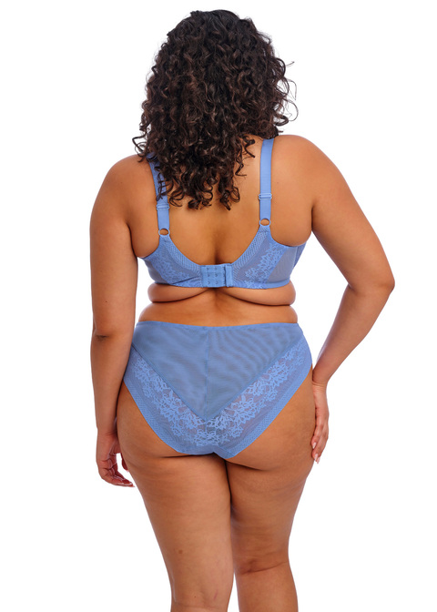 Elomi Molded Bra Cornflower