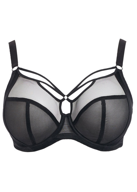 Elomi Plunge Bra Black