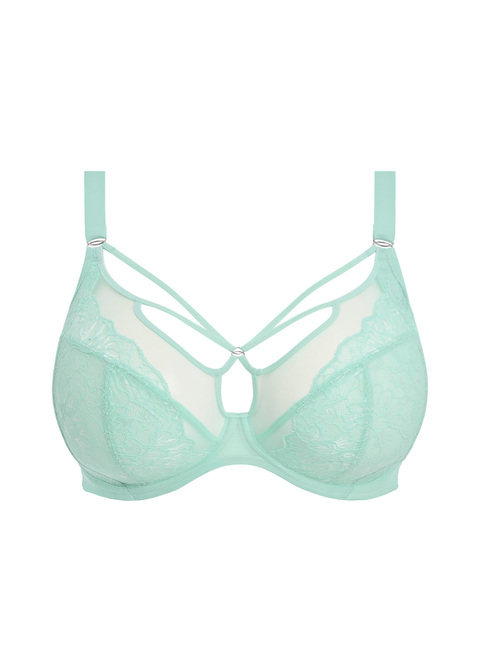Elomi Plunge Bra Frozen