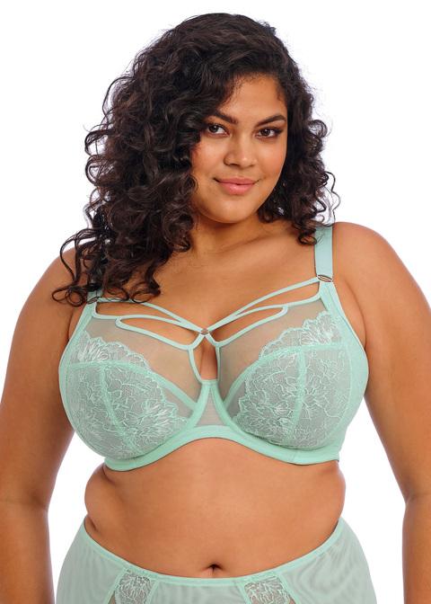 elomi Plunge Bra Frozen