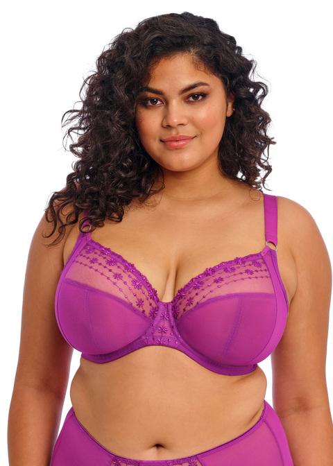 elomi Plunge Bra Hollyhock