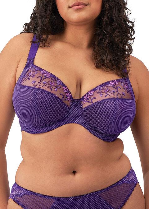 elomi Plunge Bra Iris