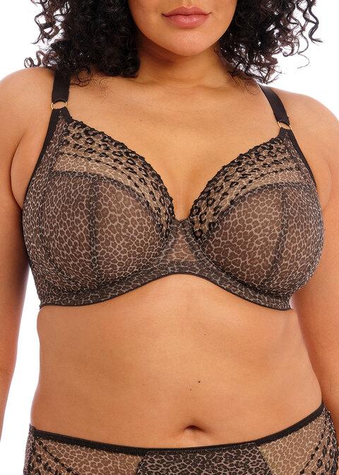 elomi Plunge Bra Leopard