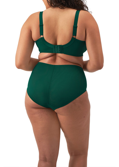 Elomi Plunge Bra Rainforest