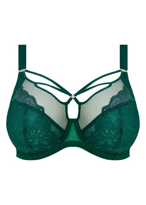 Elomi Plunge Bra Rainforest
