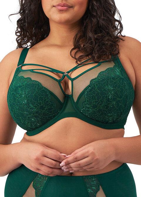 elomi Plunge Bra Rainforest