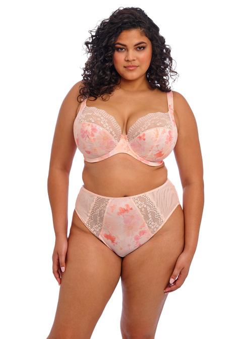 Elomi Stretch Plunge Bra Cosmos