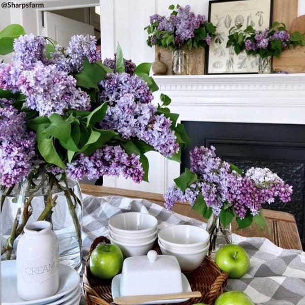 Elrene Farmhouse Living Buffalo Check Tablecloth