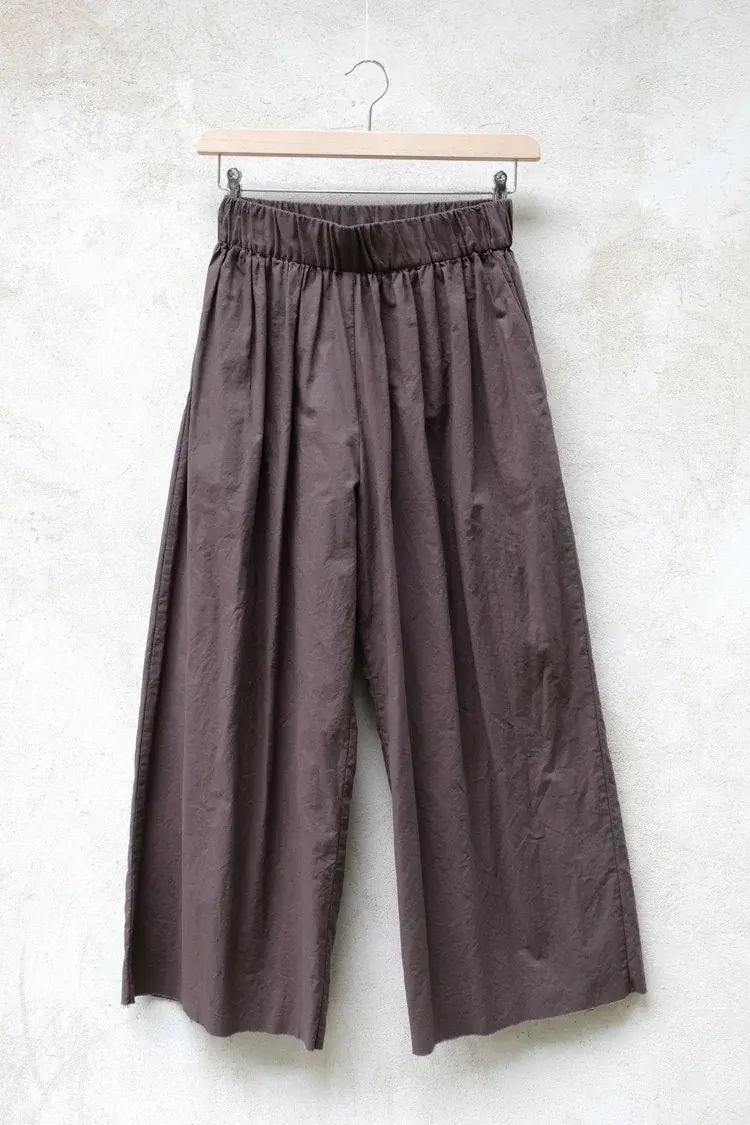 Elsa Esturgie Lichen