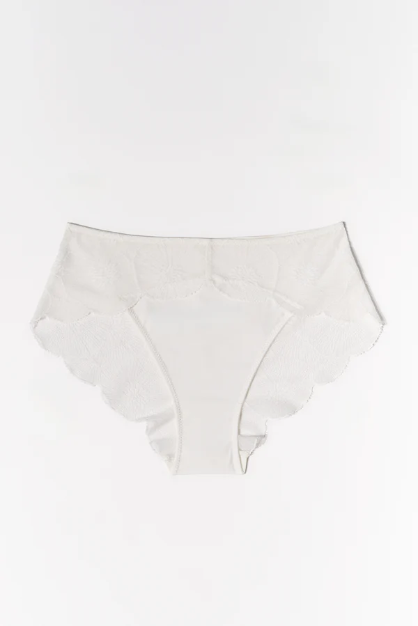 else Anemone Brief | Ivory