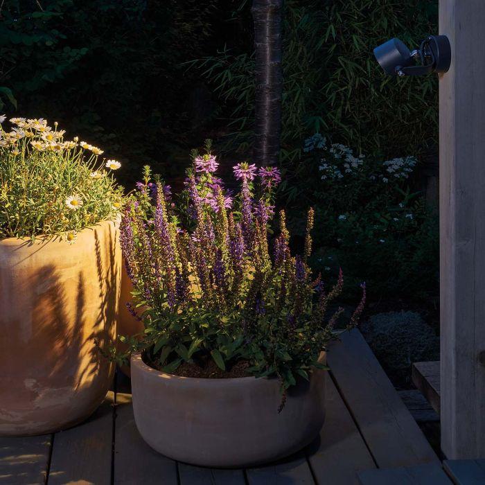 Elstead Lighting Moss LED Wall Light - Graphite