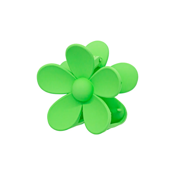 emi jay Works Well With Big Daisy Clip