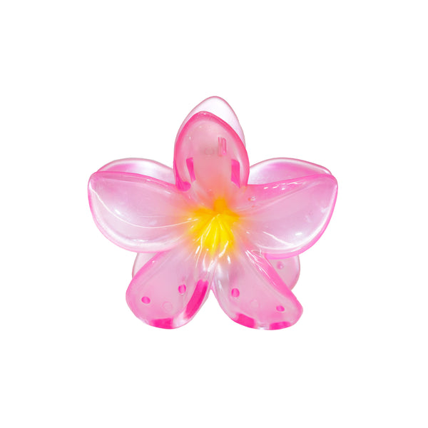 emi jay Works Well With Super Bloom Clip