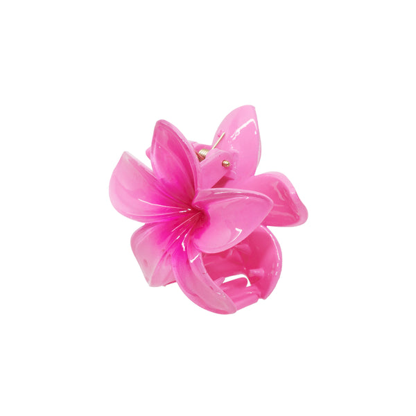 Emi Jay Works Well With Super Bloom Clip