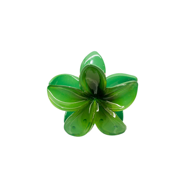 emi jay Works Well With Super Bloom Clip