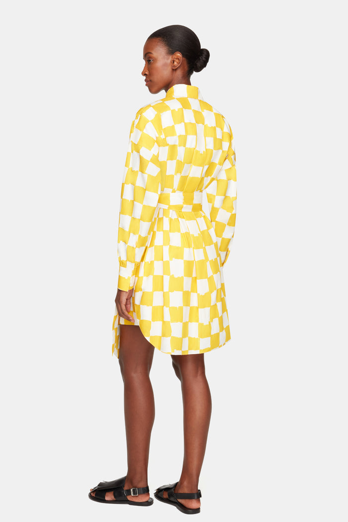 Emilia Wickstead Emilia Wickstead X Palm Heights Jalissa Top In Yellow And White Checkerboard Print Cotton
