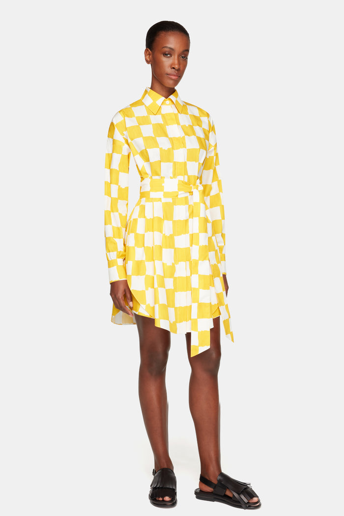 Emilia Wickstead Emilia Wickstead X Palm Heights Jalissa Top In Yellow And White Checkerboard Print Cotton