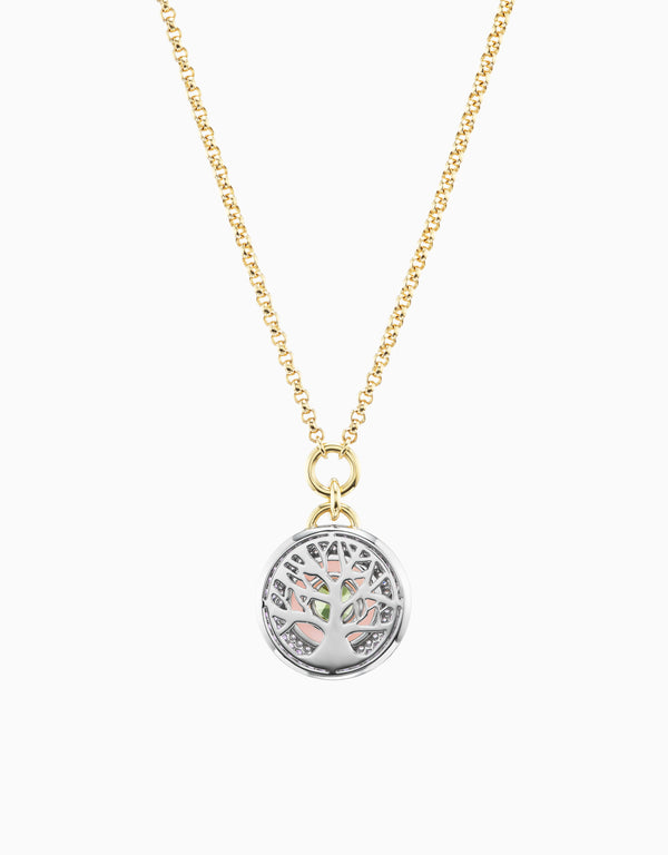 Emily P. Wheeler Earth Medallion