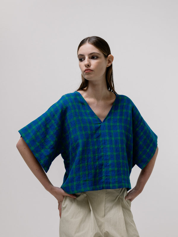 Emin Paul Blue-Check Boxy V-Neck Blouse