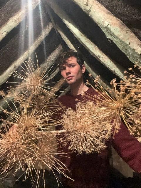 Emma Go Gabby Suede Rose