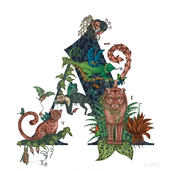 Emma J Shipley 'A' Monogram Fine Art Print