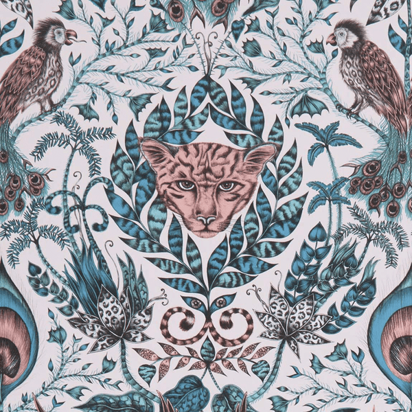 emma j shipley Amazon Wallpaper