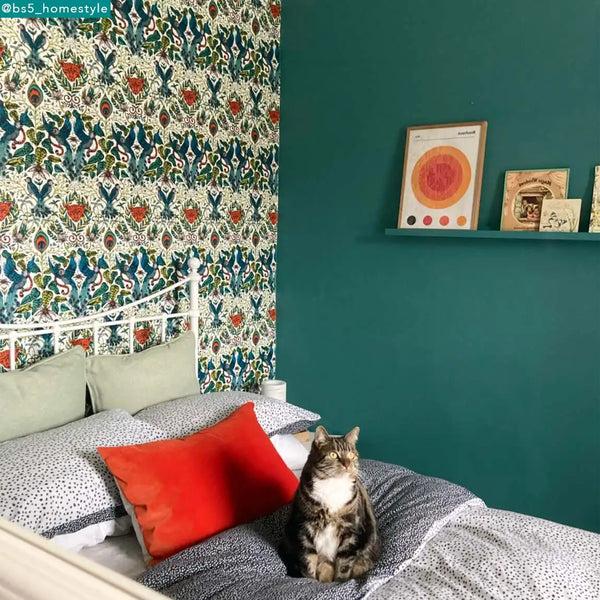 Emma J Shipley Amazon Wallpaper