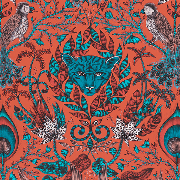 emma j shipley Amazon Wallpaper