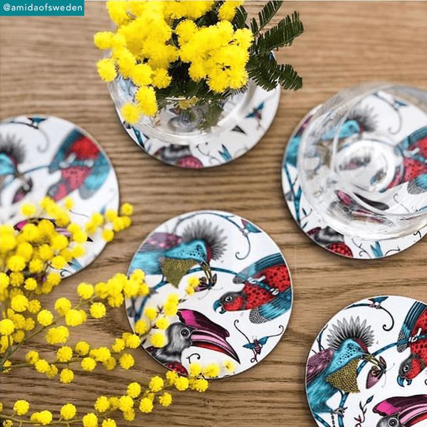 Emma J Shipley Audubon Coaster