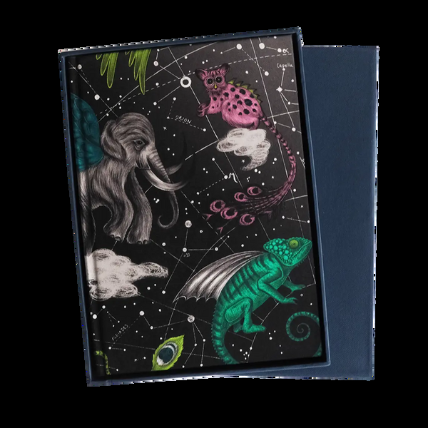 emma j shipley Constellation Silk Notebook