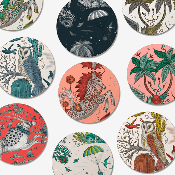 Emma J Shipley Lynx Coaster