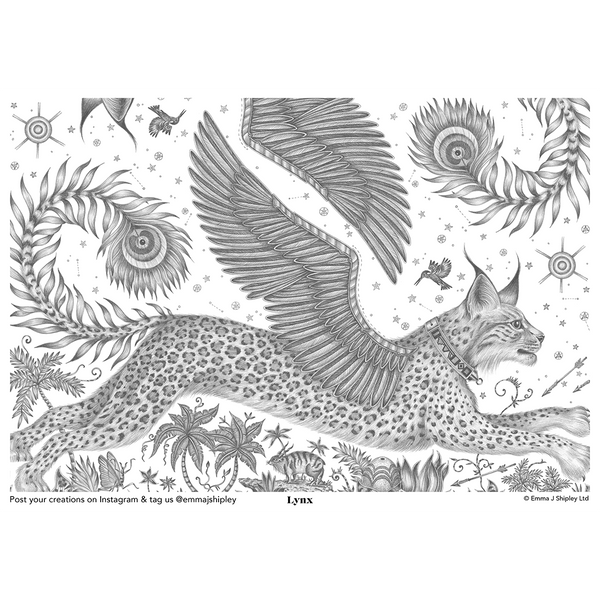 emma j shipley Lynx Colouring Page Free Download