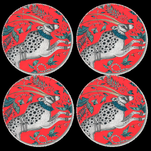 Emma J Shipley Protea Coaster