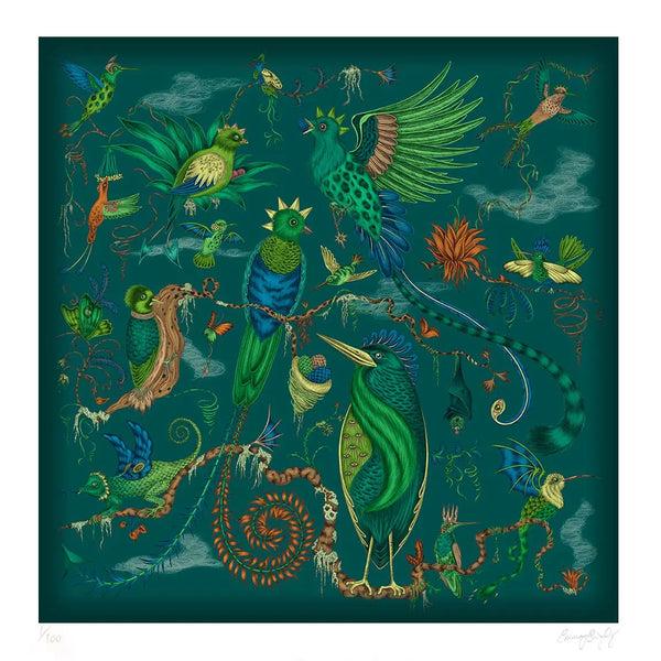 Emma J Shipley Quetzal Fine Art Print - Teal
