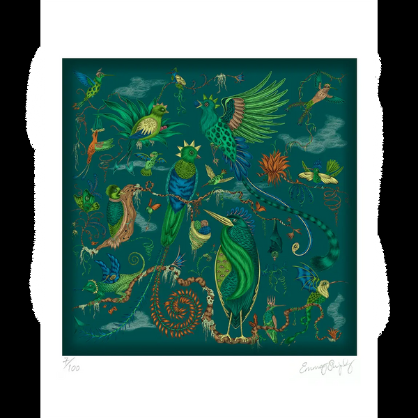 emma j shipley Quetzal Fine Art Print - Teal