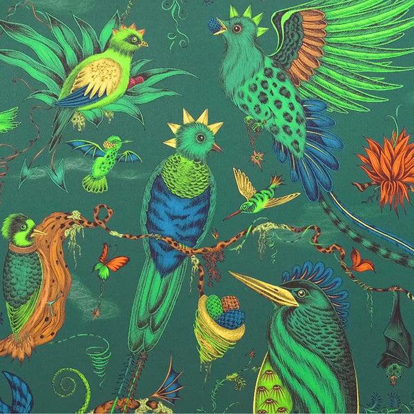 Emma J Shipley Quetzal Framed Silk Artwork