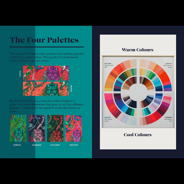 Emma J Shipley Red Leopard Colour Guide