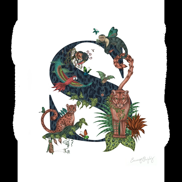 emma j shipley 'S' Monogram Fine Art Print