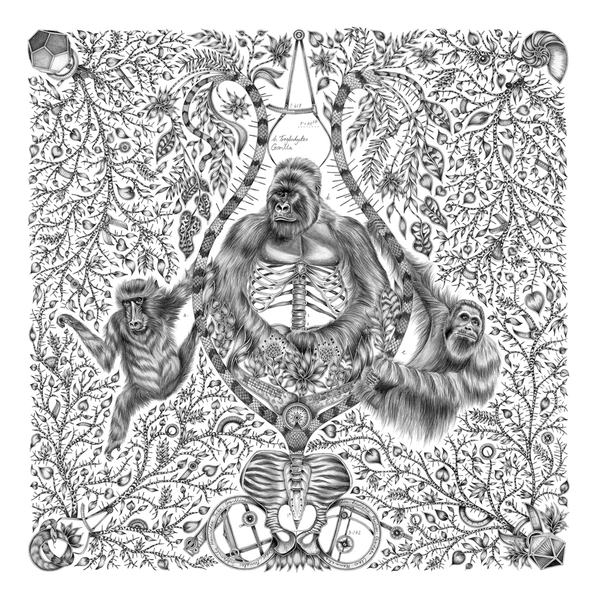 emma j shipley Silverback Fine Art Print