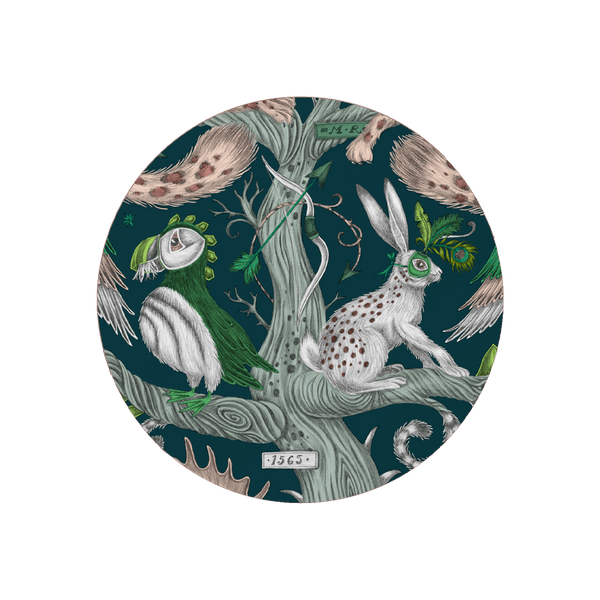 emma j shipley Wonder World Coaster