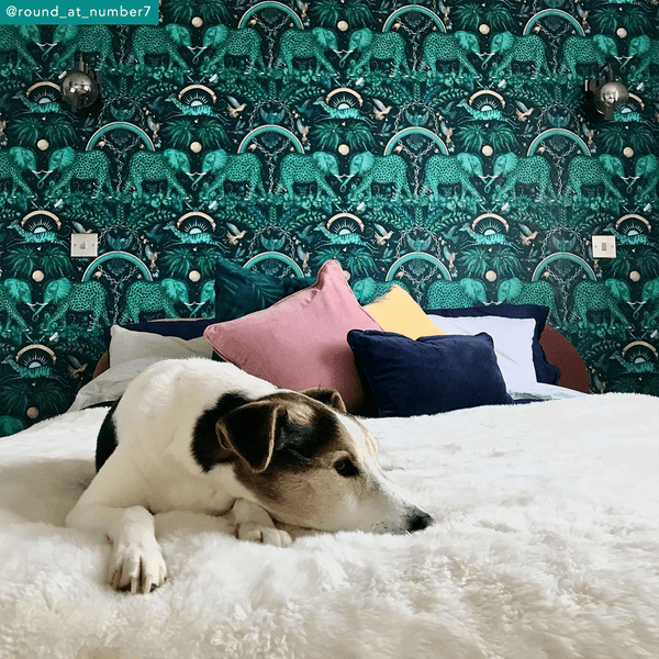 Emma J Shipley Zambezi Wallpaper