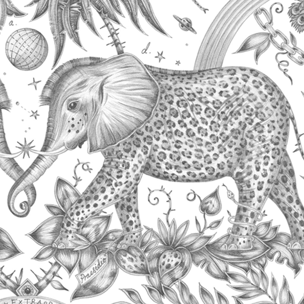 Emma J Shipley Zambezi Colouring Page Free Download