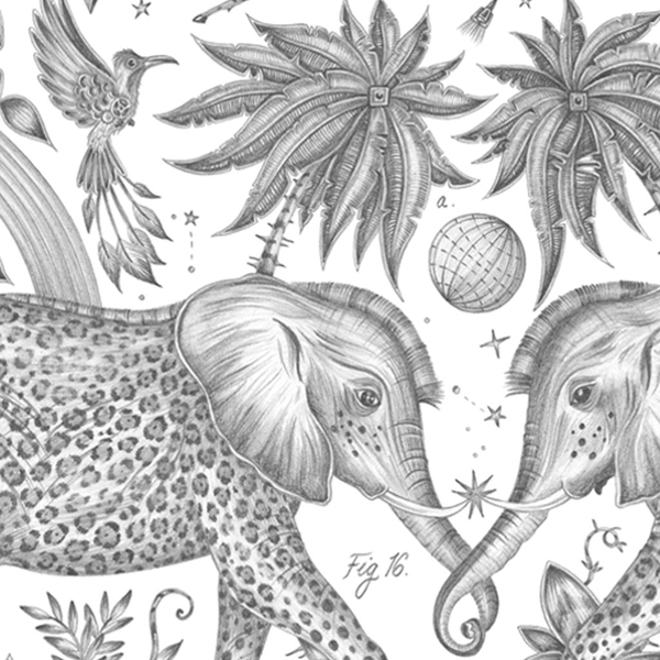 Emma J Shipley Zambezi Colouring Page Free Download