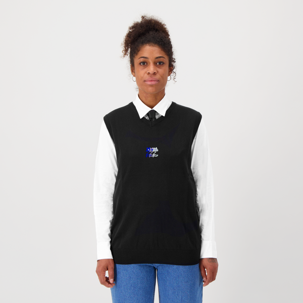 Encré Chœur Bleu (Pull)