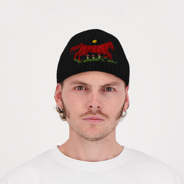 Encré Far Ouest (Beanie)