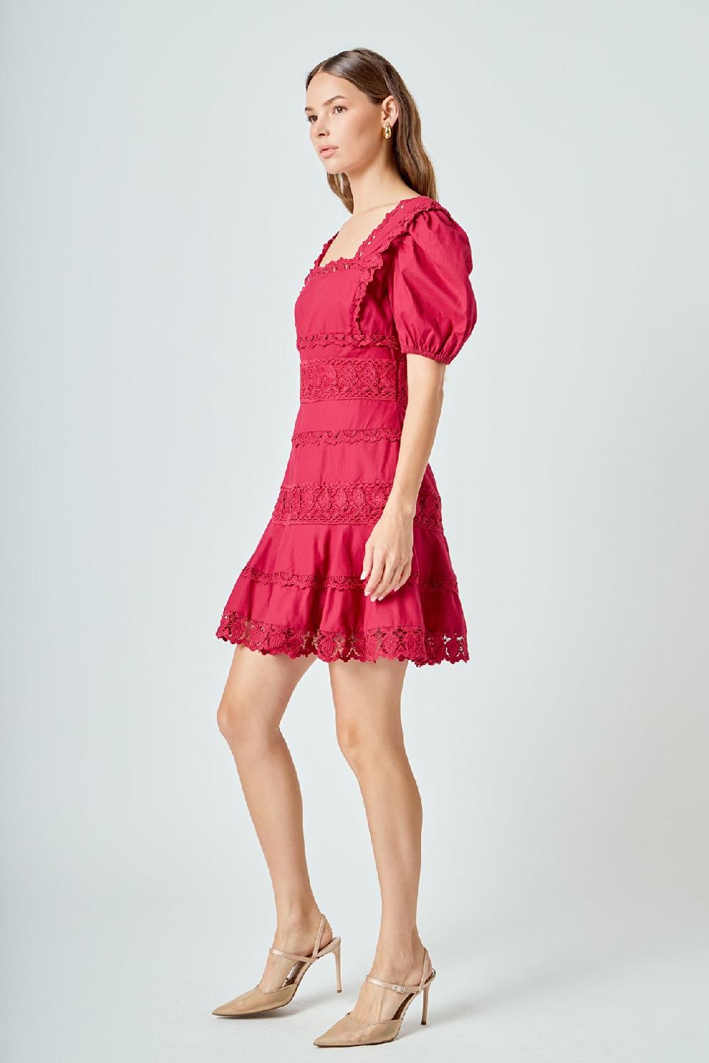 Endless Rose Lace Fit-and-Flare Mini Dress BERRY
