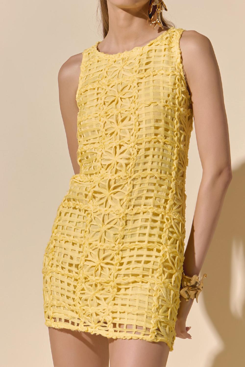 Endless Rose Lace Mini Dress BUTTER